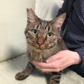 甘えん坊の男の子です！