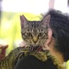 美猫さん「なおチャン」 サムネイル4