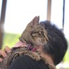 美猫さん「なおチャン」 サムネイル5