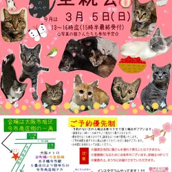 子猫たくさん里親会！