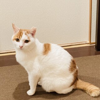 ぱっちりおめめの甘えんぼの女の子♡