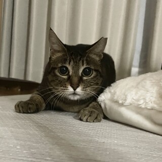 小柄なかわい子ちゃん