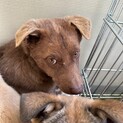 大人しいくて人慣れの修行中のゆうき君