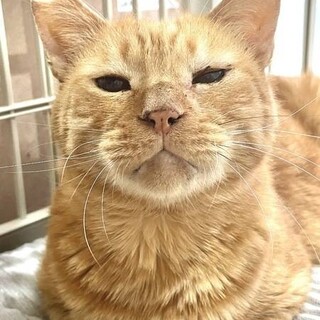 【2/26東日本橋】穏やかで物静な♡まるくん