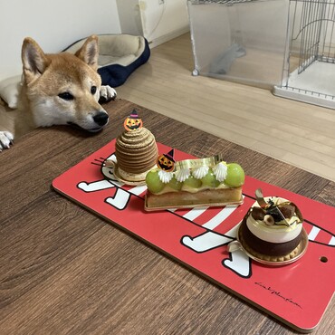 どれにしようかな