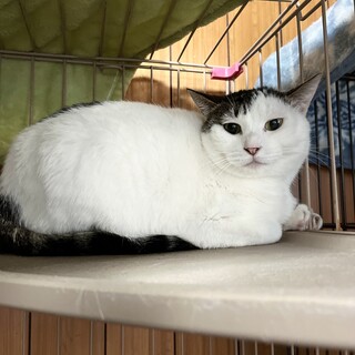 【馴らしにチャレンジ♪】マヨちゃんに会いにきて♪