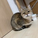 とても人懐っこい女の子