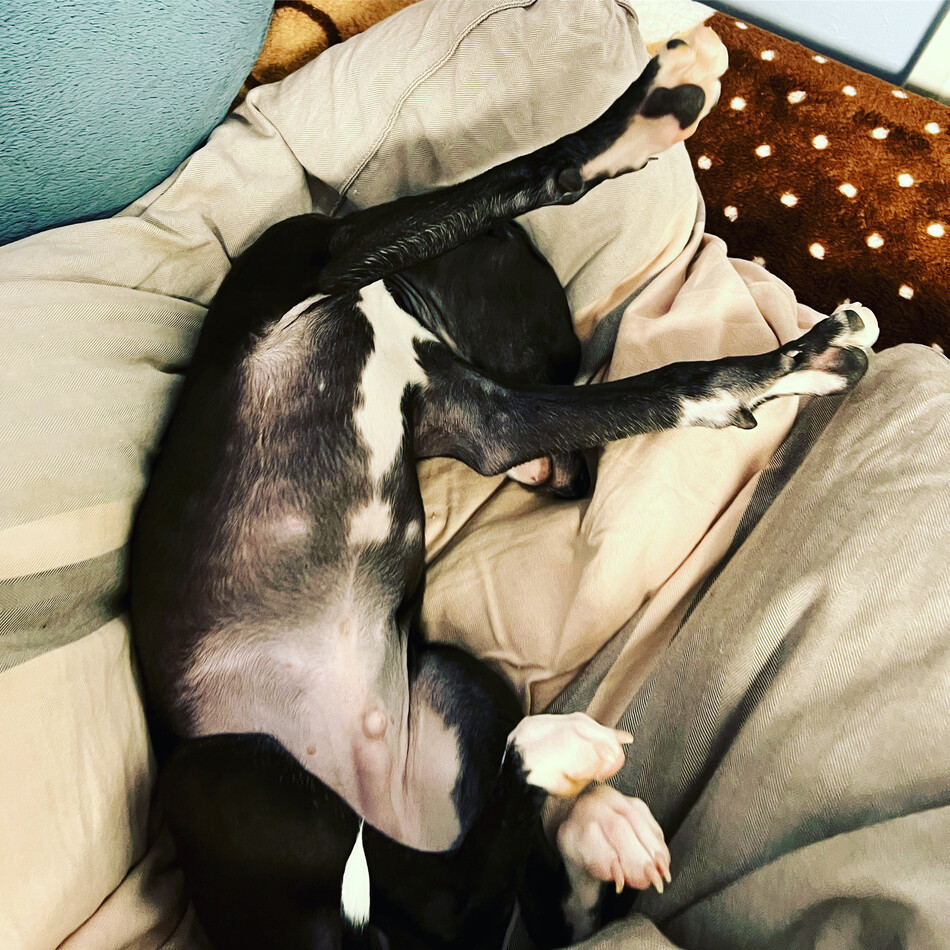 響のカバー写真