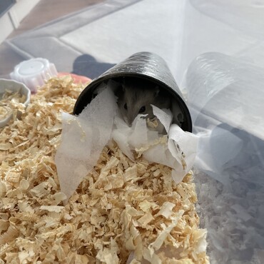 の写真