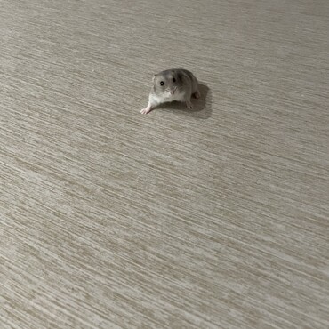 の写真