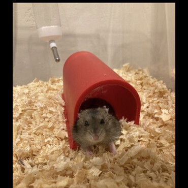 の写真