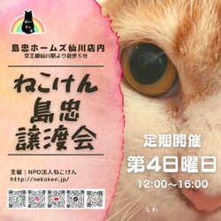 [島忠ホームズ仙川店]ねこけん譲渡会 サムネイル1