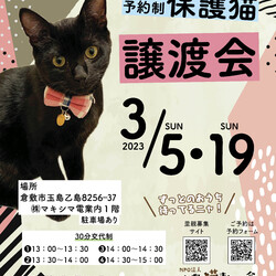 ほごっこ子猫の譲渡会（予約制）
