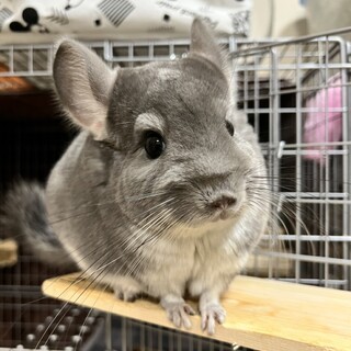 幸せにしてもらえる方、募集してます。