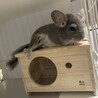 幸せにしてもらえる方、募集してます。 サムネイル2
