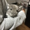 幸せにしてもらえる方、募集してます。 サムネイル4