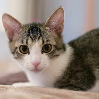 ベッタリくっついて眠る♡甘えん坊さん