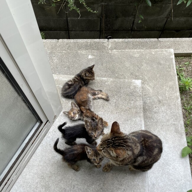 みゆき16のカバー写真