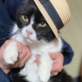 人間大好き、超甘えん坊！お子さんがいるご家庭にも◎