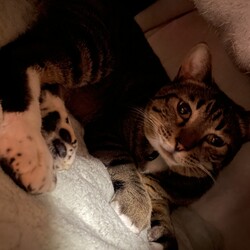 「杏の日」サムネイル2