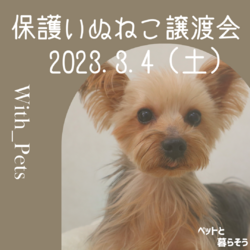 保護いぬねこ譲渡会