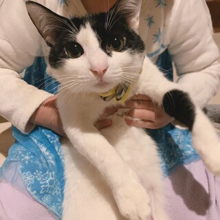 顔を見るだけでゴロゴロ　めろんちゃん♡