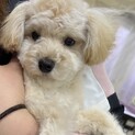 ハンディがあっても元気いっぱいの男の子