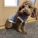 生後10ヶ月の男の子　ロイくん