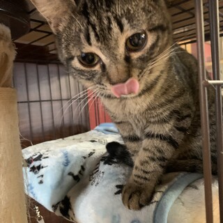 真ん丸おめめがCUTE☆ここあ