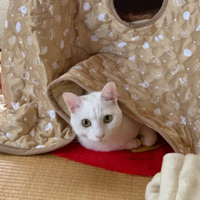井垣のカバー写真