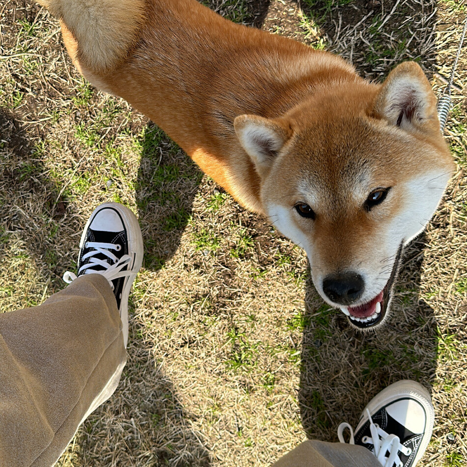 千夏のカバー写真