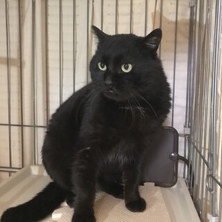 むくむくの男の子