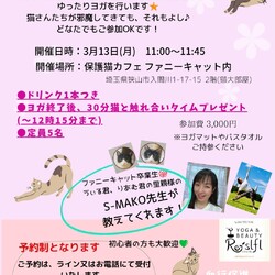 猫カフェでヨガ