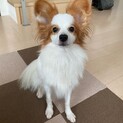 この度はご応募誠にありがとうございました。