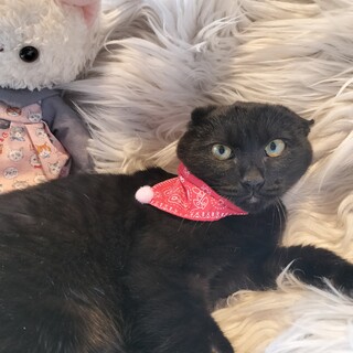 寒い中お母さんと姉妹で必死に生きてきた美人姉妹