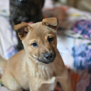 可愛いいダイチ❤️