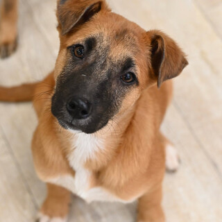 アッシュくん❤️