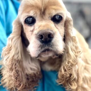 23-M15　とってもとっても良い子です♪