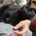 気長に付き合ってくださる方いませんか？