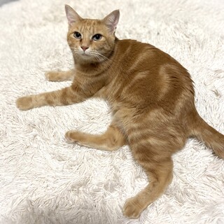 うず巻き模様の女の子