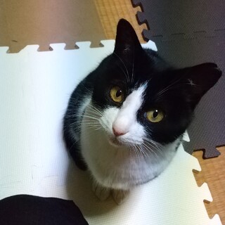 良いご縁を待っています