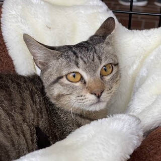 小さい体の甘えん坊