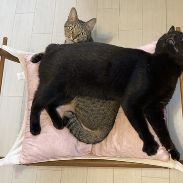 の写真
