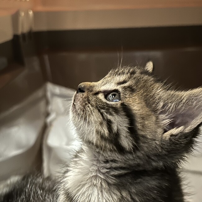 3wann3のカバー写真