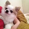 ユウナ
