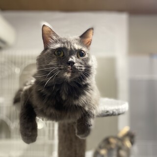 綺麗なブルーカラーの女の子♬