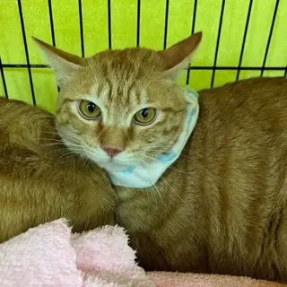 甘えん坊なゆうまくん☆一歳