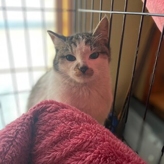 おっとりしてる☆ビアード君