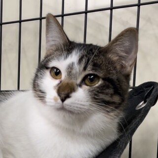 募集停止丸顔がとってもキュートな女の子めい