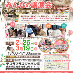 ✡縁起のいい〜人とねこ⛩良縁成就⛩つかねこ譲渡会